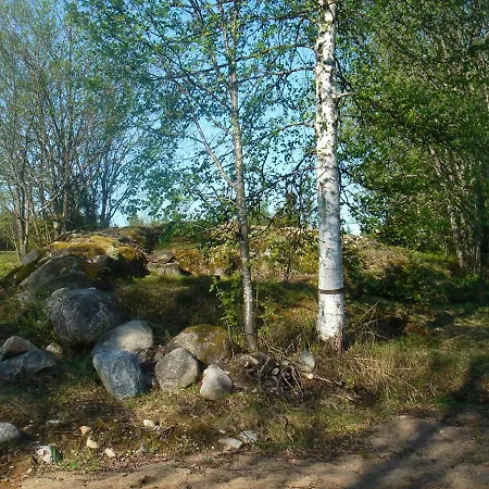 Riimantupa Kalmari